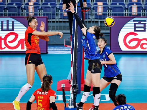 排球 女排聯(lián)賽 山東勝福建