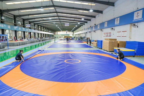 叮咚！快來打開奧運賽場背后的科技秘籍