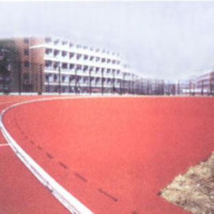 橡膠道牙在體育場(chǎng)地中的應(yīng)用與優(yōu)勢(shì)