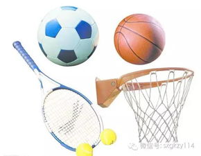 未來(lái)十年體育行業(yè)最賺錢(qián)的17大領(lǐng)域盤(pán)點(diǎn)