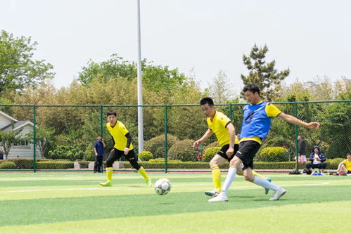 體育精神與文明同行 日照體育事業(yè)的高質(zhì)量發(fā)展