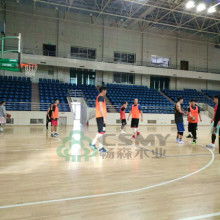 體育 連接世界的橋梁與人類精神的象征